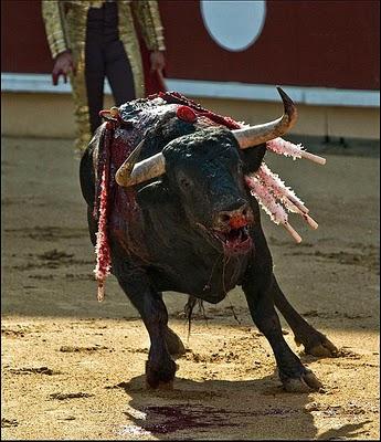 La sangre como ofrenda de un rito