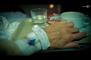 GONZALO JUANES, DE PROFESIÓN FOTÓGRAFO. GONZALO JUANES, DE PROFESIÓN FOTÓGRAFO.