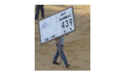 ¿Qué ven los veedores?