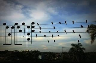 Música clasica visualizada Música clasica visualizada