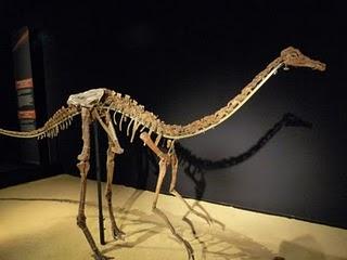 Un Tesoro en Alcobendas (II) Un Tesoro en Alcobendas (II)