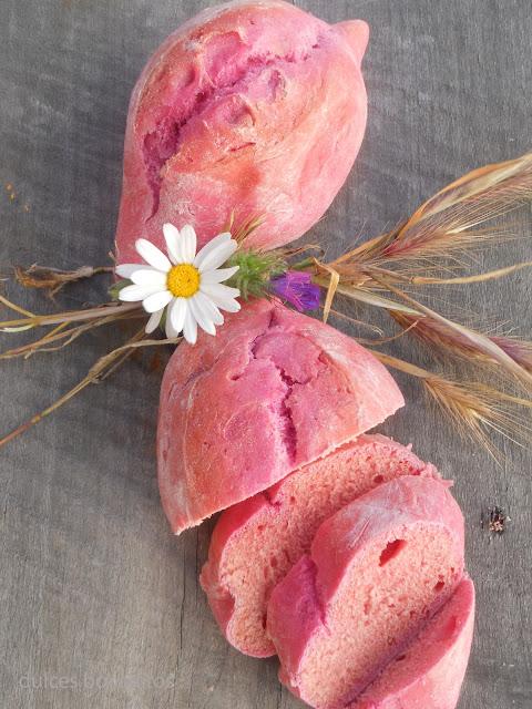 PAN DE TUNO INDIO PAN DE TUNO INDIO