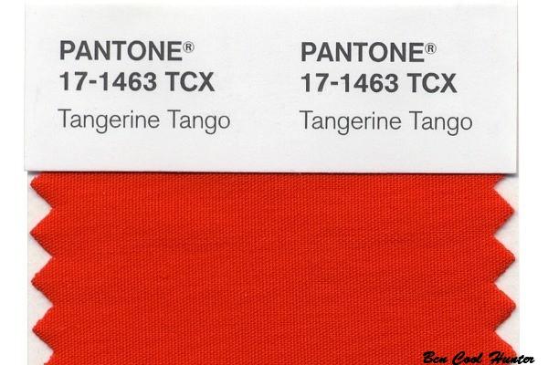 tangerine-tango pantone