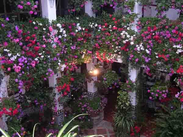 Patios de Córdoba. www.patiosdecordoba.es Los patios de Córdoba