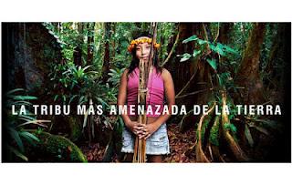 ¿Sabes quien es la tribu indígena más amenazada de la Tierra? Son los AWÁS. Pasa a conocerlos y a -¿porqué no?- apoyarlos. ¿Sabes quien es la tribu indígena más amenazada de la Tierra? Son los AWÁS. Pasa a conocerlos y a -¿porqué no?- apoyarlos.