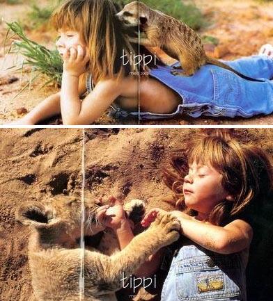 Tippi la Niña de la Selva