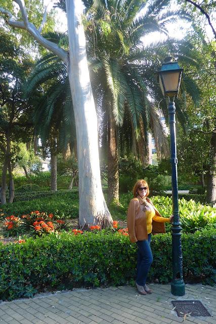 El jardín de Ayora El jardín de Ayora