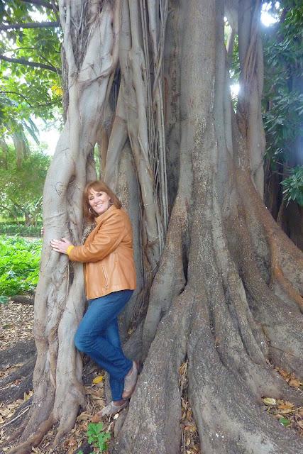 El jardín de Ayora El jardín de Ayora