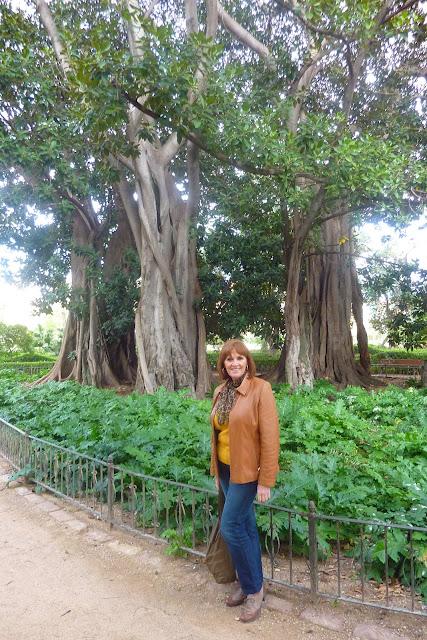 El jardín de Ayora El jardín de Ayora