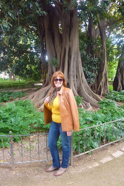 El jardín de Ayora El jardín de Ayora