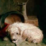Terrier Terrier