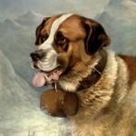 St Bernard St Bernard