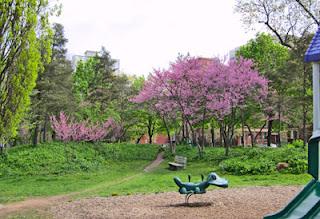 Primavera en Hamilton, ON, Canadá