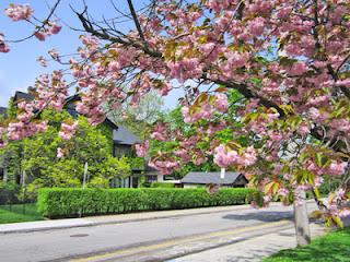 Primavera en Hamilton, ON, Canadá