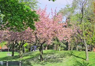 Primavera en Hamilton, ON, Canadá