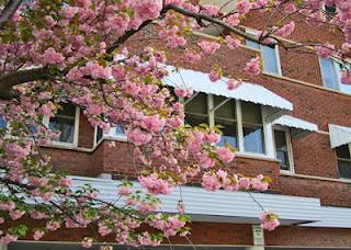 Primavera en Hamilton, ON, Canadá