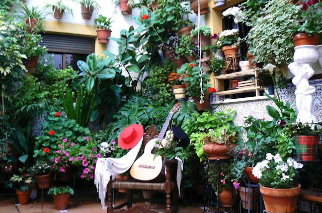 Patios de Córdoba Patios de Córdoba