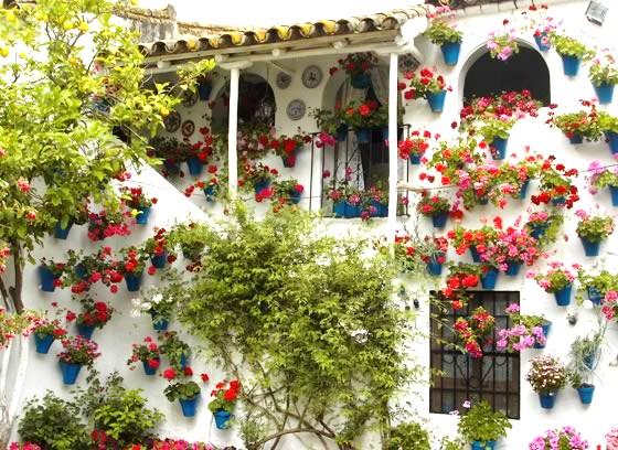 Patios de Córdoba Patios de Córdoba