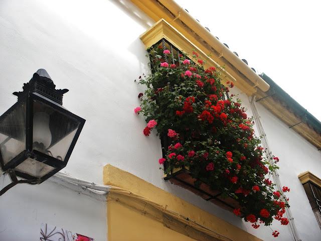 Patios de Córdoba Patios de Córdoba