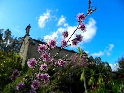 El jardín de la Saleta en mayo.