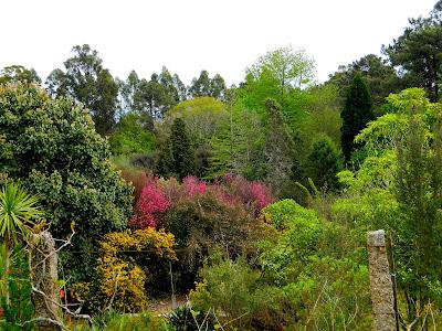 El jardín de la Saleta en abril.