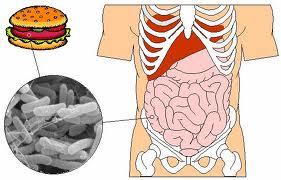 listeria Qué es la listeriosis