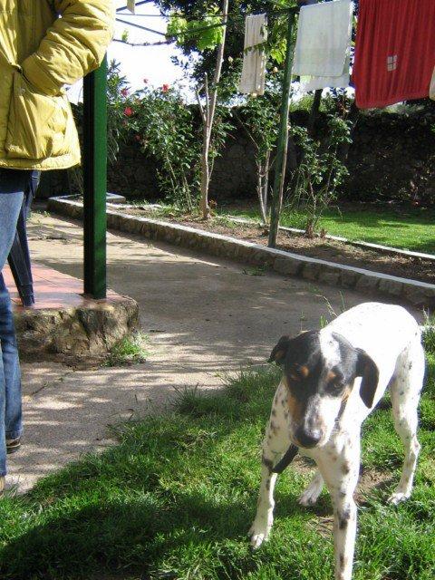 Encuentros y reencuentros Encuentros y reencuentros