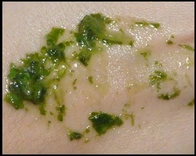 MASCARILLA DE ALOE VERA Y CILANTRO MASCARILLA DE ALOE VERA Y CILANTRO