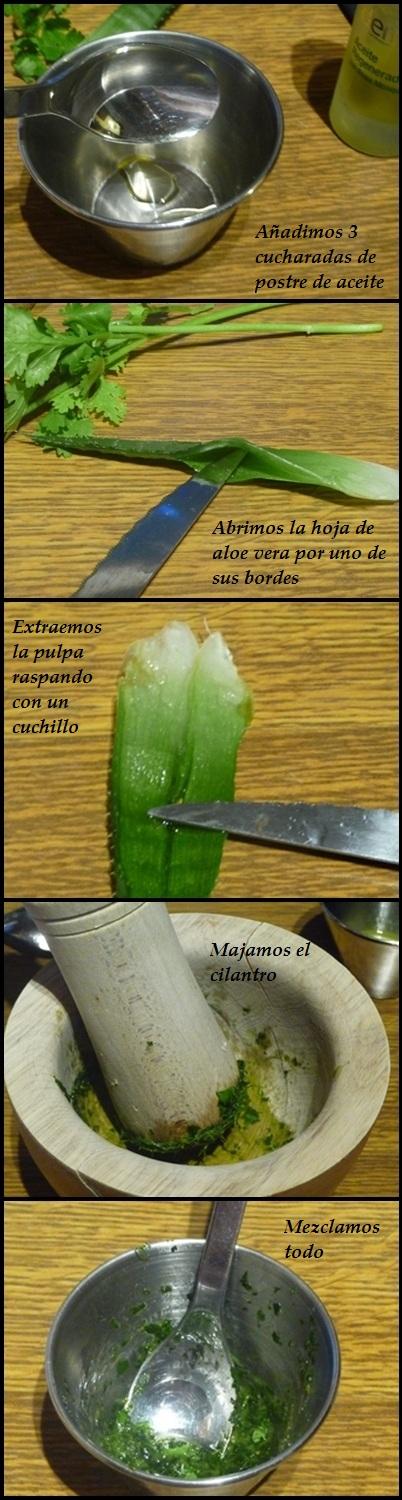 MASCARILLA DE ALOE VERA Y CILANTRO MASCARILLA DE ALOE VERA Y CILANTRO