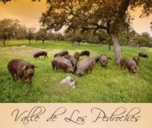Sabores del Sur. Córdoba: Las carnes de Los Pedroches