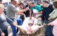 Sabores del Sur. Córdoba: Las carnes de Los Pedroches