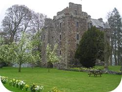 Reseña: Te esperaré toda mi vida Reseña: Te esperaré toda mi vida