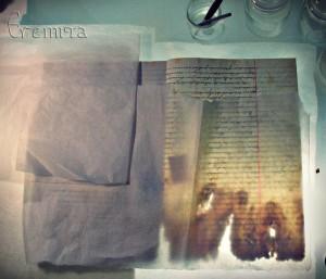 REINTEGRACION 1 copia Luz transmitida, reintegración