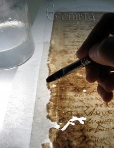 reintegracion 2 Reintegración, detalle