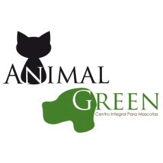 Animal Green La Historia de mi ‘Canina Amiga’: Una Perrita con Adrenalina