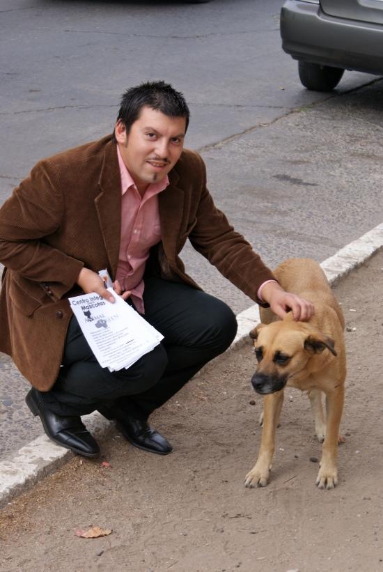 Mi La Historia de mi ‘Canina Amiga’: Una Perrita con Adrenalina