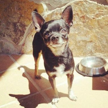 Fosco new collection Fosco new collection