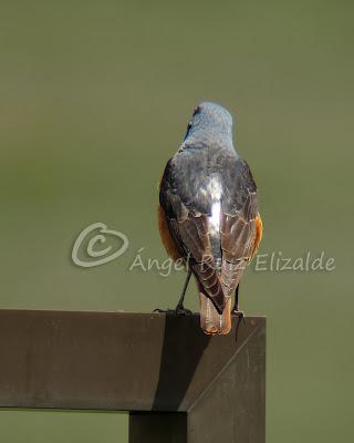 Por Poza de la Sal y alrededores... Por Poza de la Sal y alrededores...