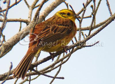 Por Poza de la Sal y alrededores... Por Poza de la Sal y alrededores...