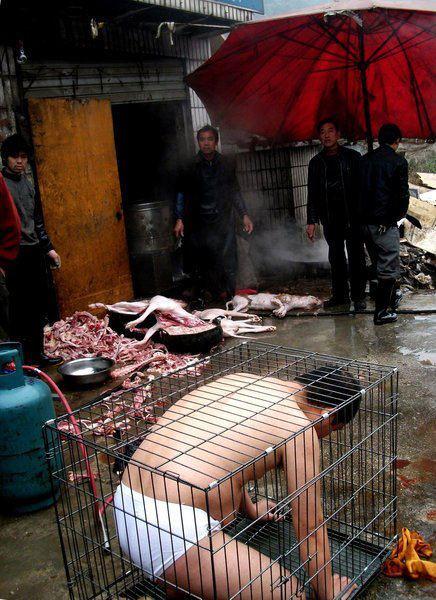 victoryinmymess:
Pian Shankong, un artista de performance de 40... victoryinmymess:
Pian Shankong, un artista de performance de 40...