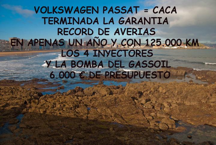 Volkswagen Passat = Caca pinchada en un palo.   Por Max. Capitulo nº1