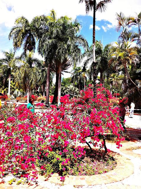 Bodas en el Jardín Botánico Nacional de Santo Domingo