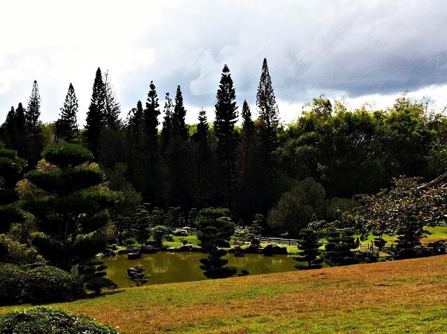 Bodas en el Jardín Botánico Nacional de Santo Domingo