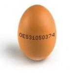 CUESTION DE HUEVOS CUESTION DE HUEVOS
