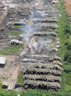 Pequeños triunfos Pequeños triunfos