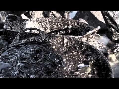 La marea blanca dejó toneladas de dignidad en Galicia Imagen de previsualización de YouTube