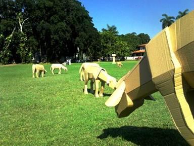 image0027 Proyecto Moraleja