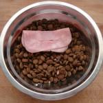 PetFoodJamon Los 7 trucos para que tu perro se coma las bolitas
