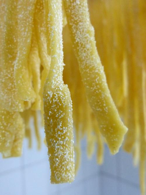 facciamo la pastasciutta | fideos caseros facciamo la pastasciutta | fideos caseros