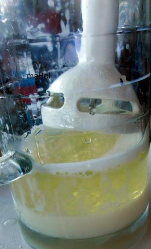 Crema tipo Nutella o Nocilla casera instantánea - Crema de avellanas Crema tipo Nutella o Nocilla casera instantánea - Crema de avellanas